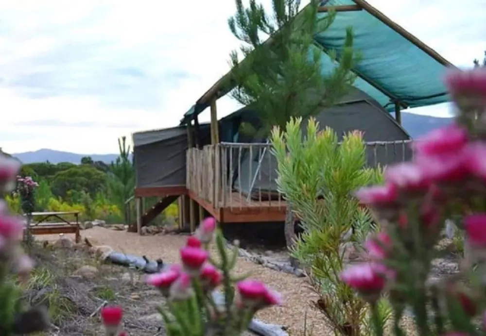 Otium Oasis Glamping