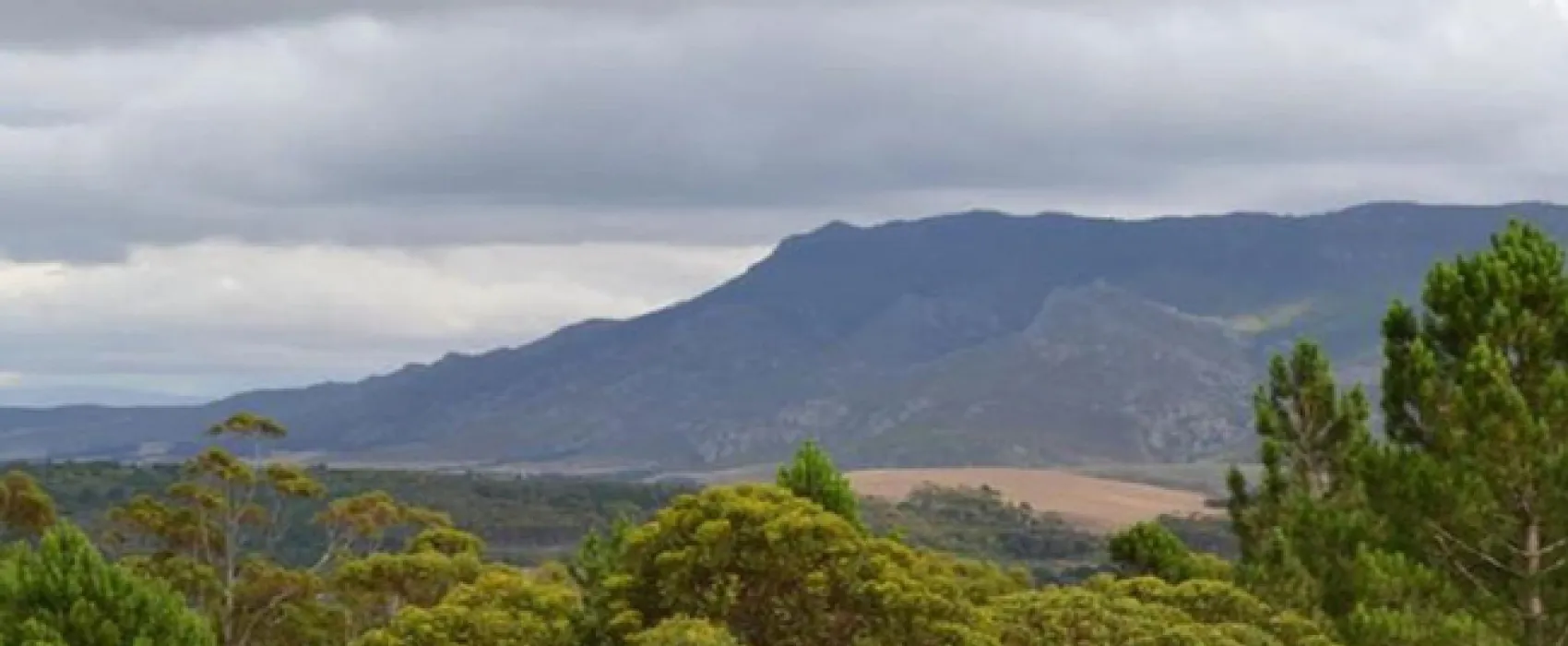 Otium Oasis Glamping