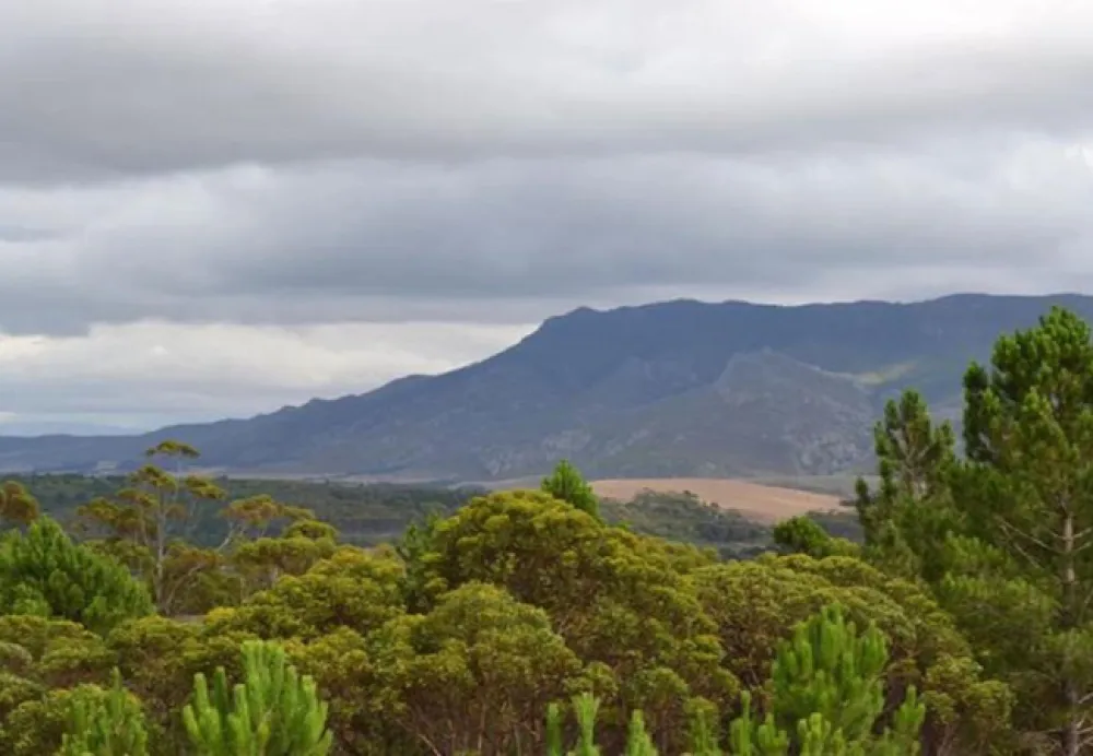 Otium Oasis Glamping