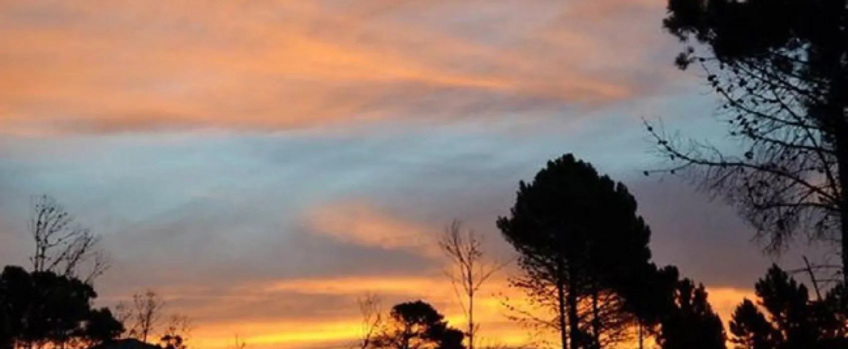 Otium Oasis Glamping