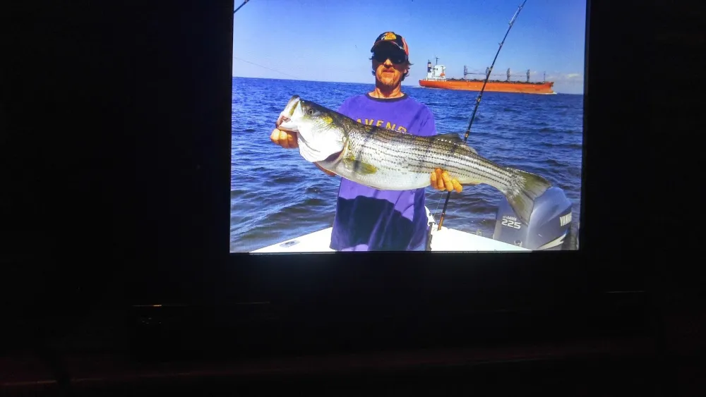 Gamler's Boat Yard & Campground