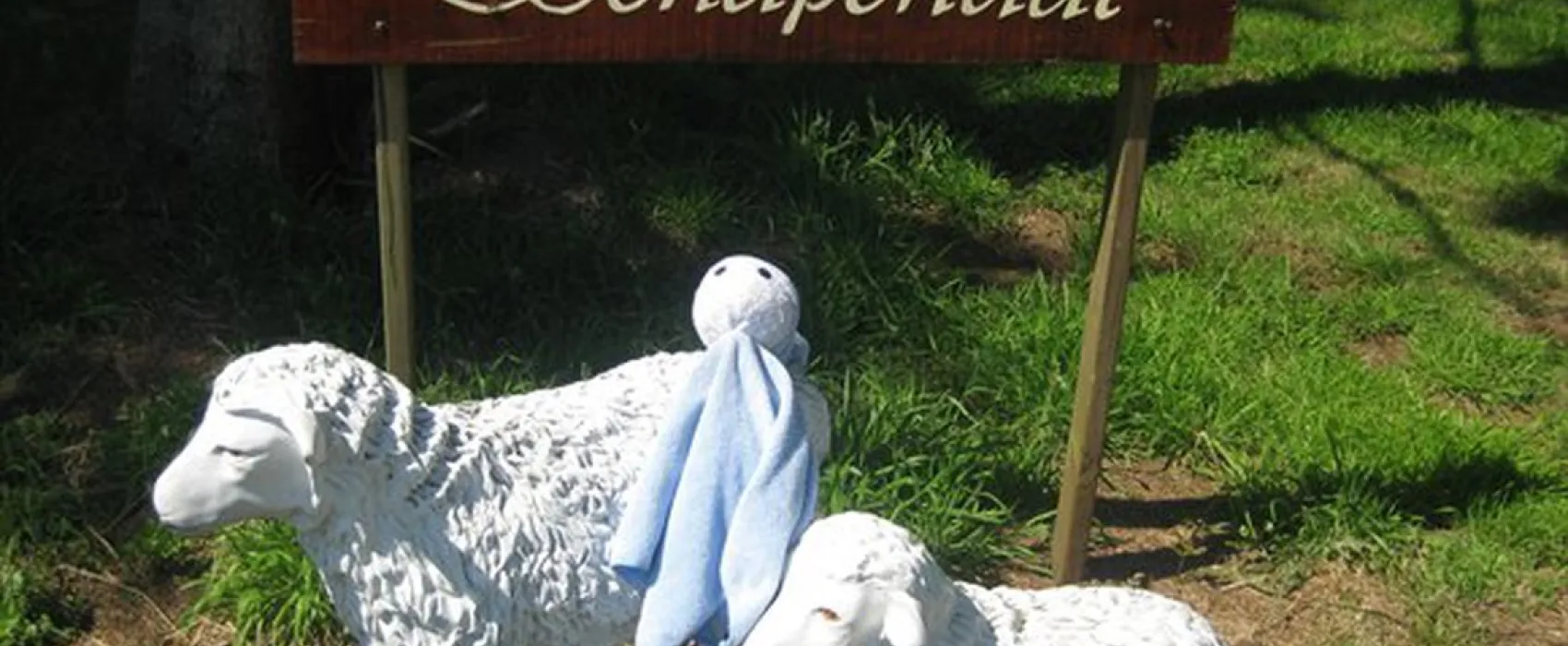 Minicamping Schapendal