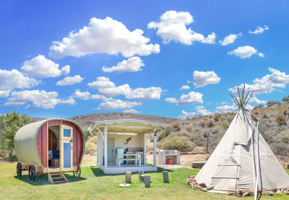 Lilly Pod @ Glen Eden