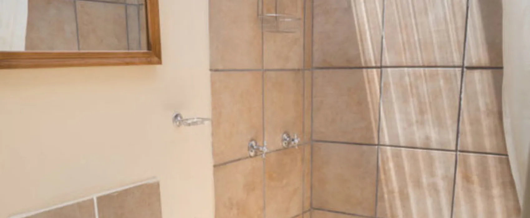 Lilly Pod @ Glen Eden