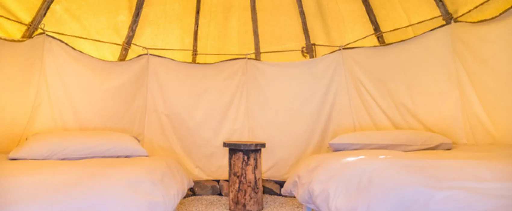 Lilly Pod @ Glen Eden