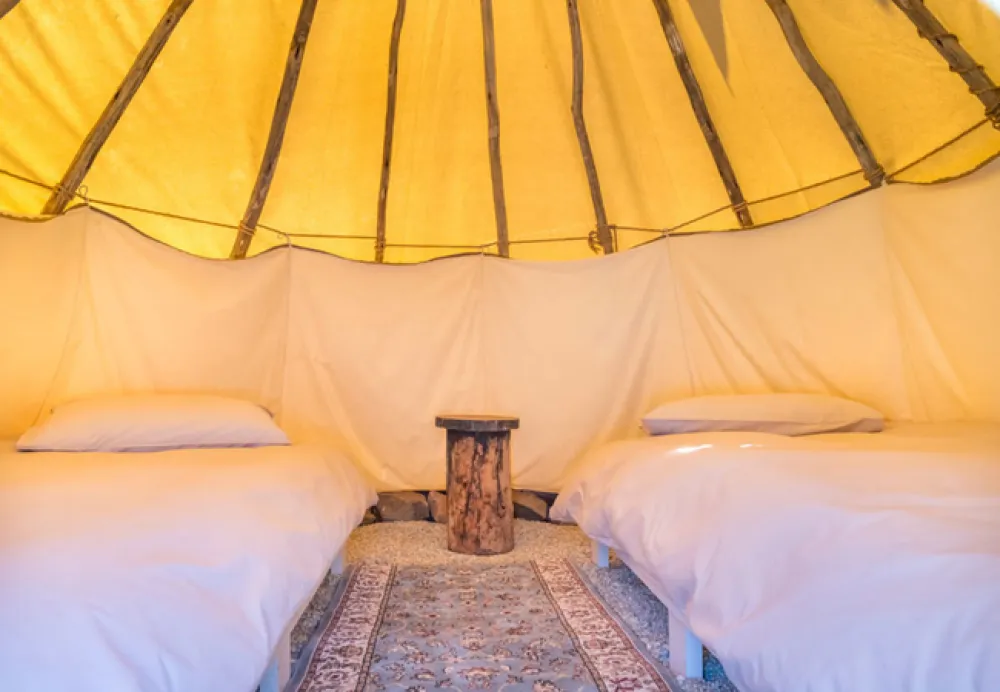 Lilly Pod @ Glen Eden