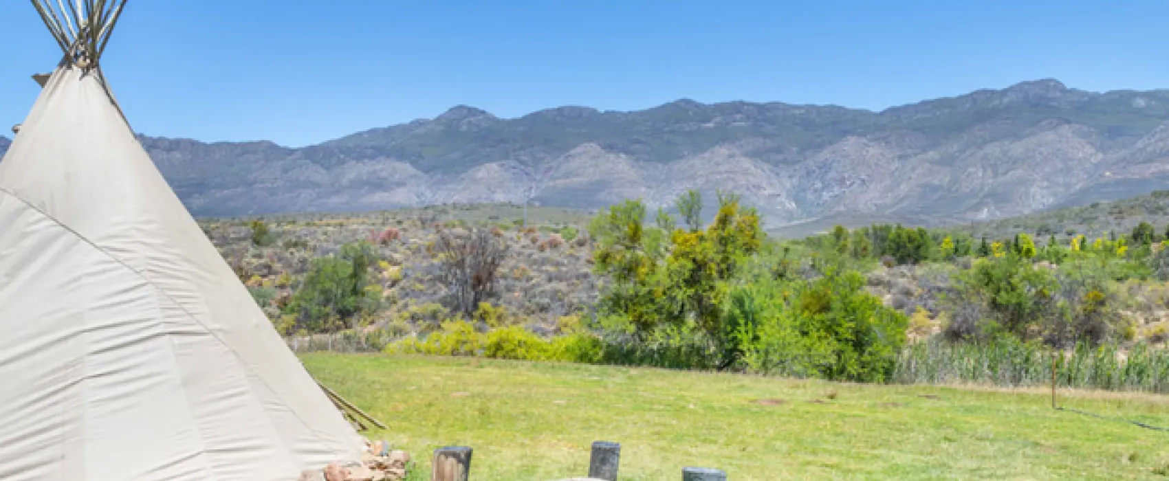 Lilly Pod @ Glen Eden