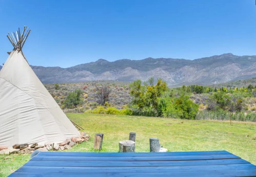 Lilly Pod @ Glen Eden