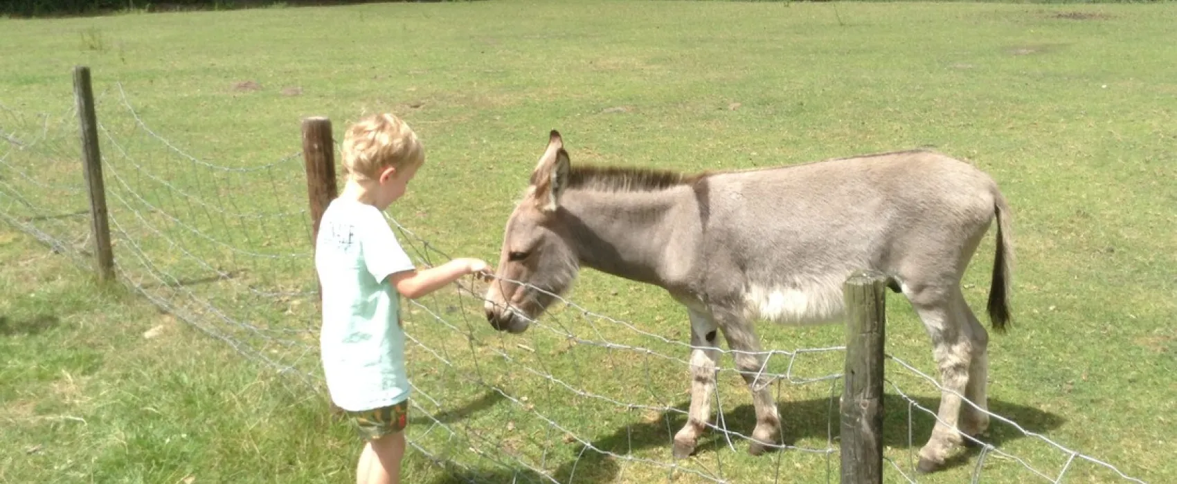 Camping en Kampeerboerderij 't Boerenerf