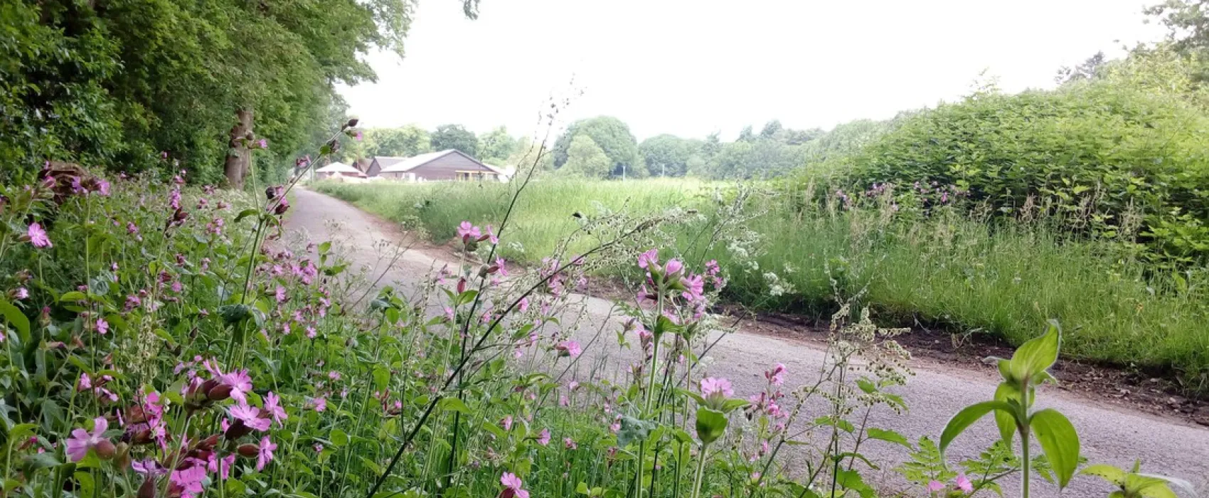 Christelijke Camping De Solse Berg