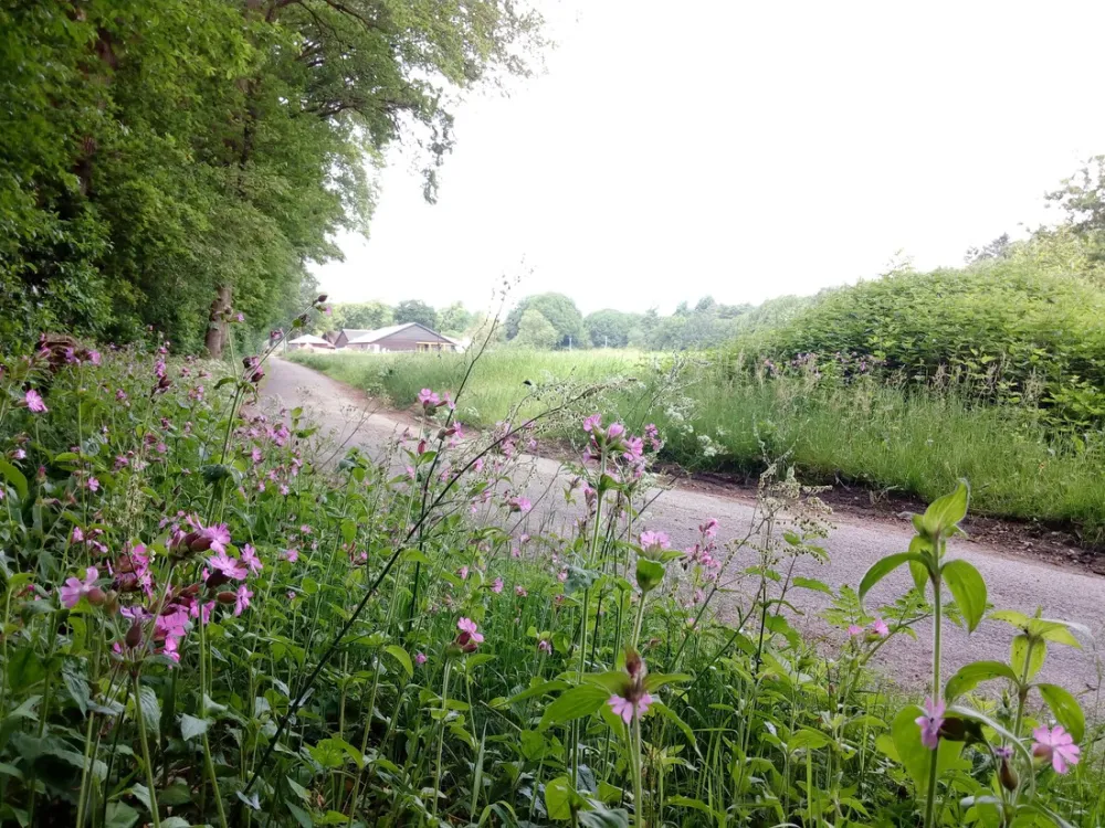 Christelijke Camping De Solse Berg