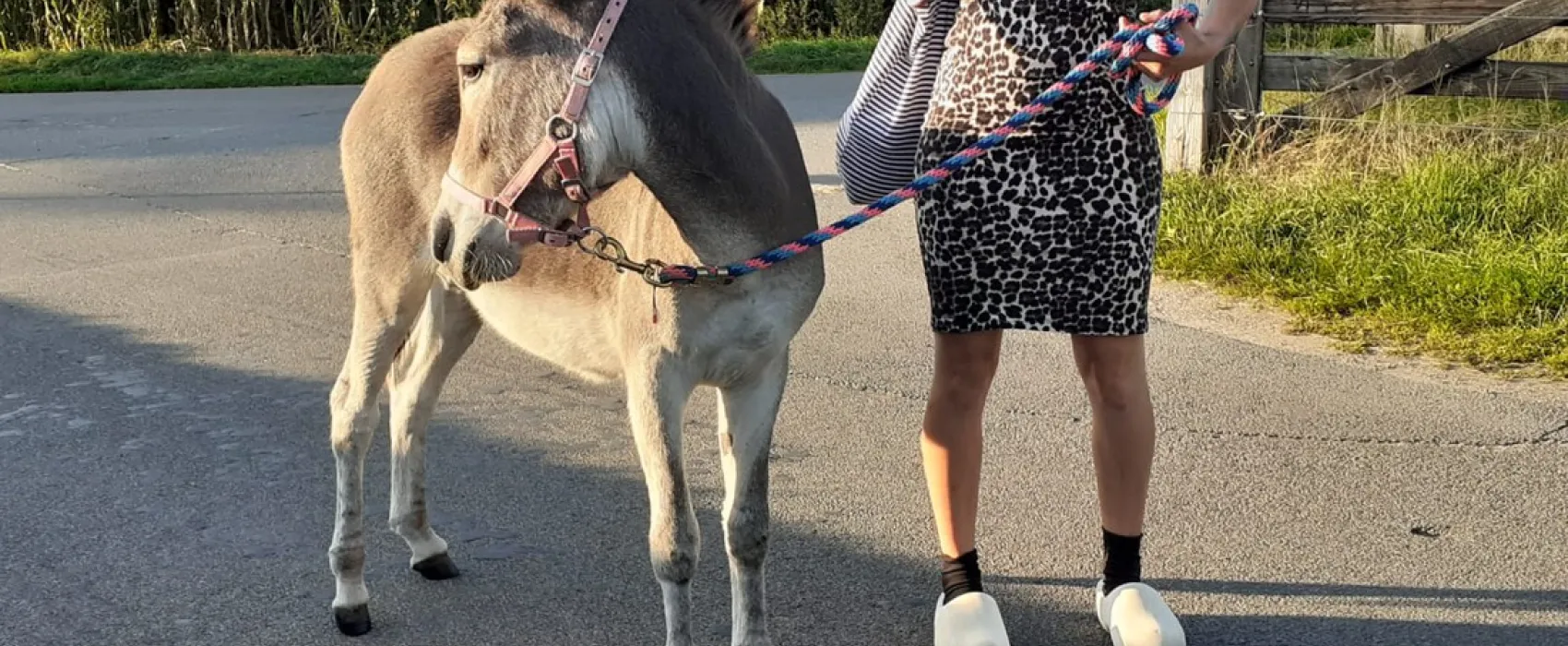 Christelijke Camping De Solse Berg