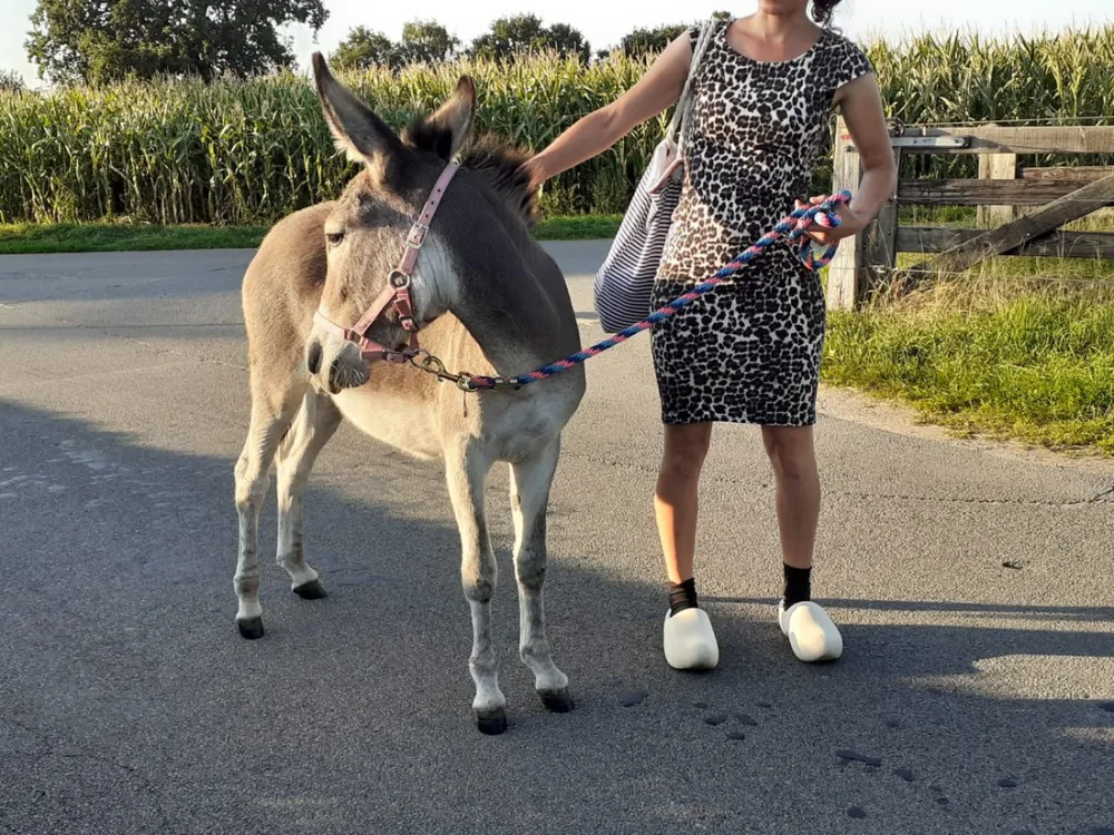 Christelijke Camping De Solse Berg