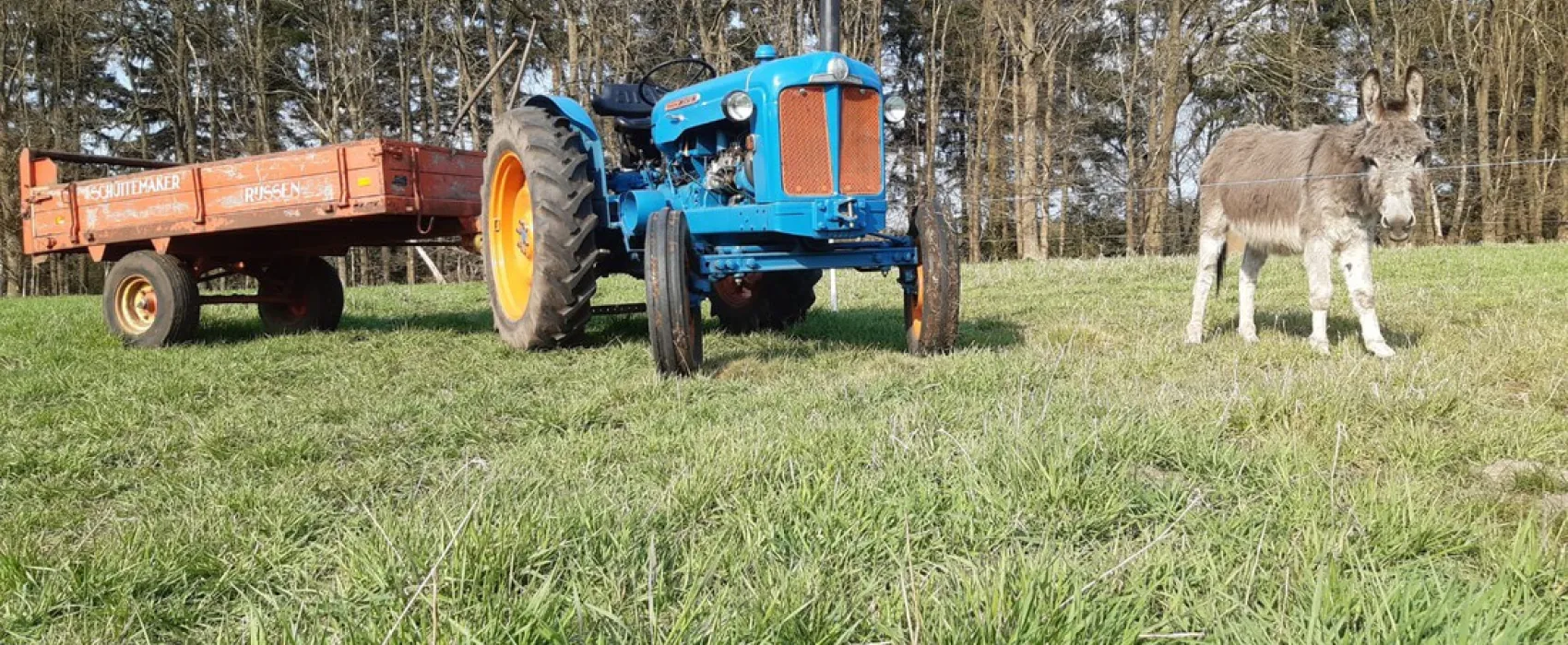 Christelijke Camping De Solse Berg