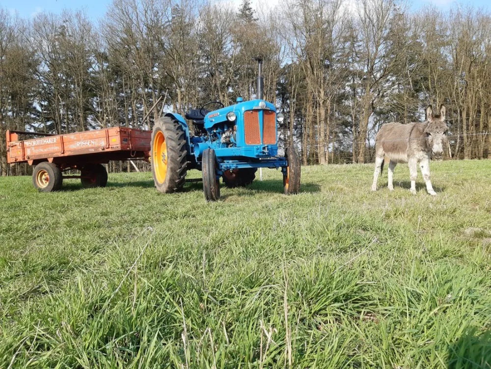 Christelijke Camping De Solse Berg
