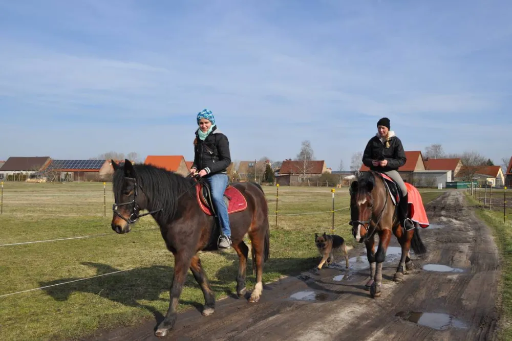 Pension & Campingplatz "Gartenidylle"