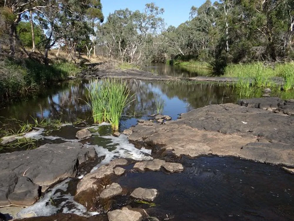 Wannon Falls Campground