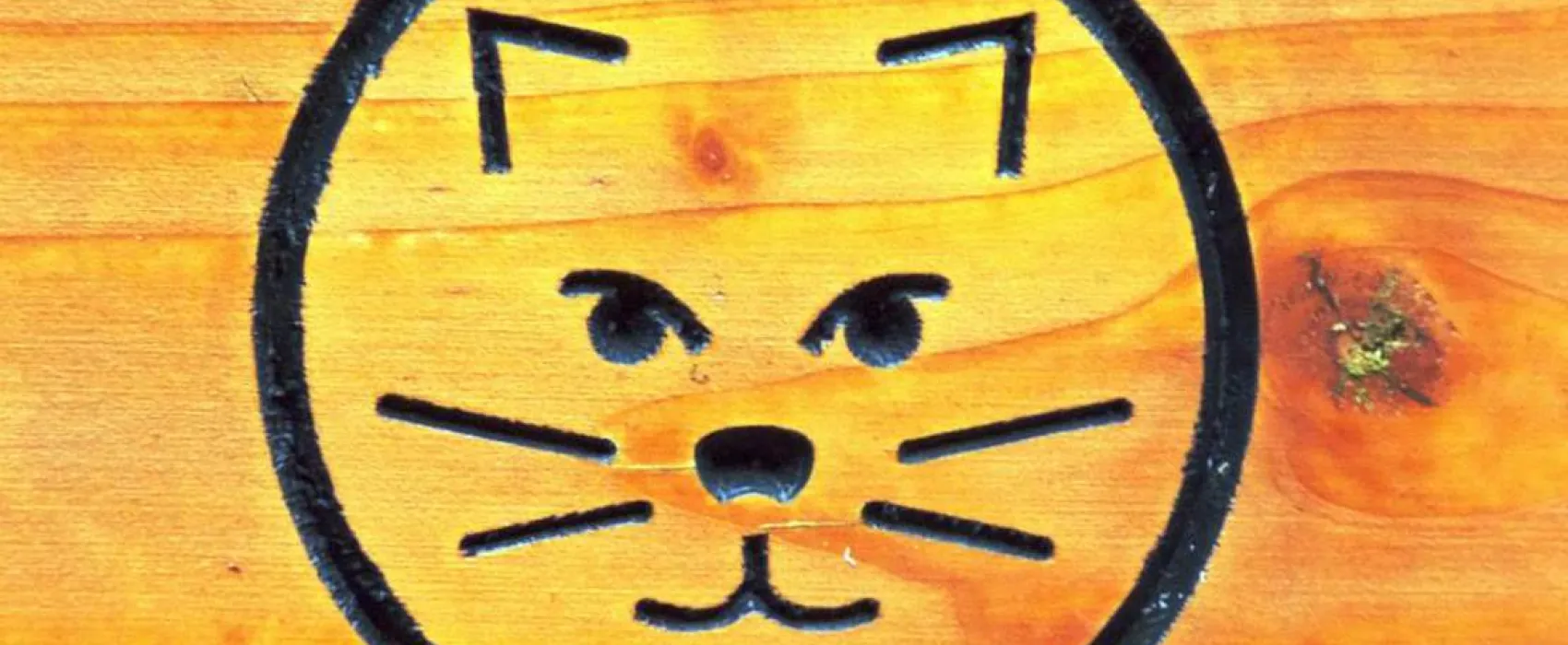 Camping Schafbachmühle