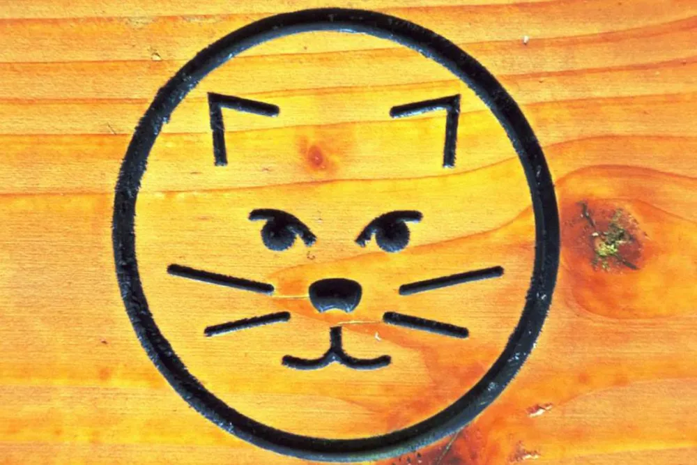 Camping Schafbachmühle