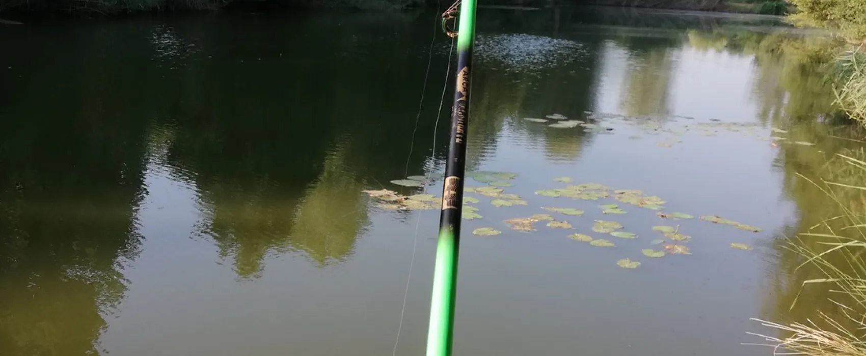 Iris Parc Le Château de Galaure