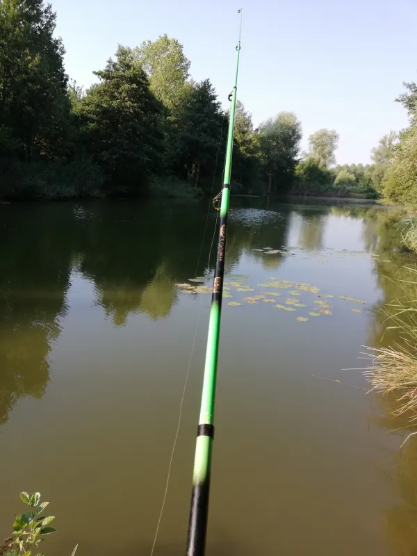 Iris Parc Le Château de Galaure