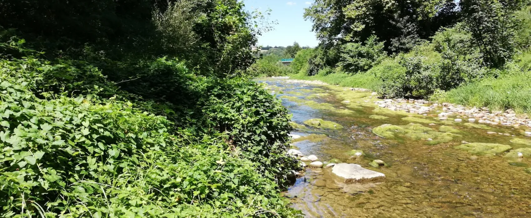 Iris Parc Le Château de Galaure