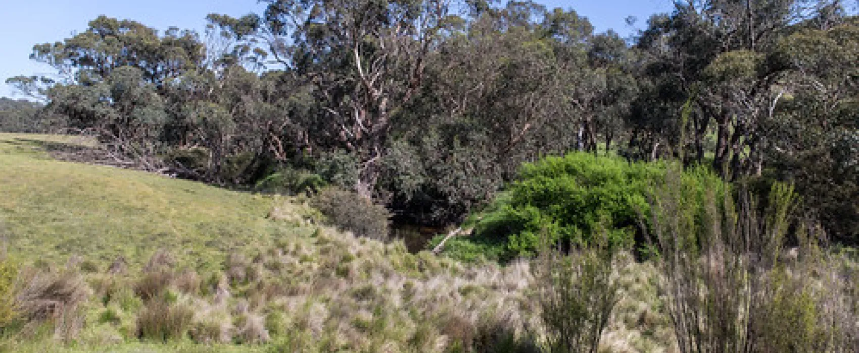 Seven Creeks Reserve Campground