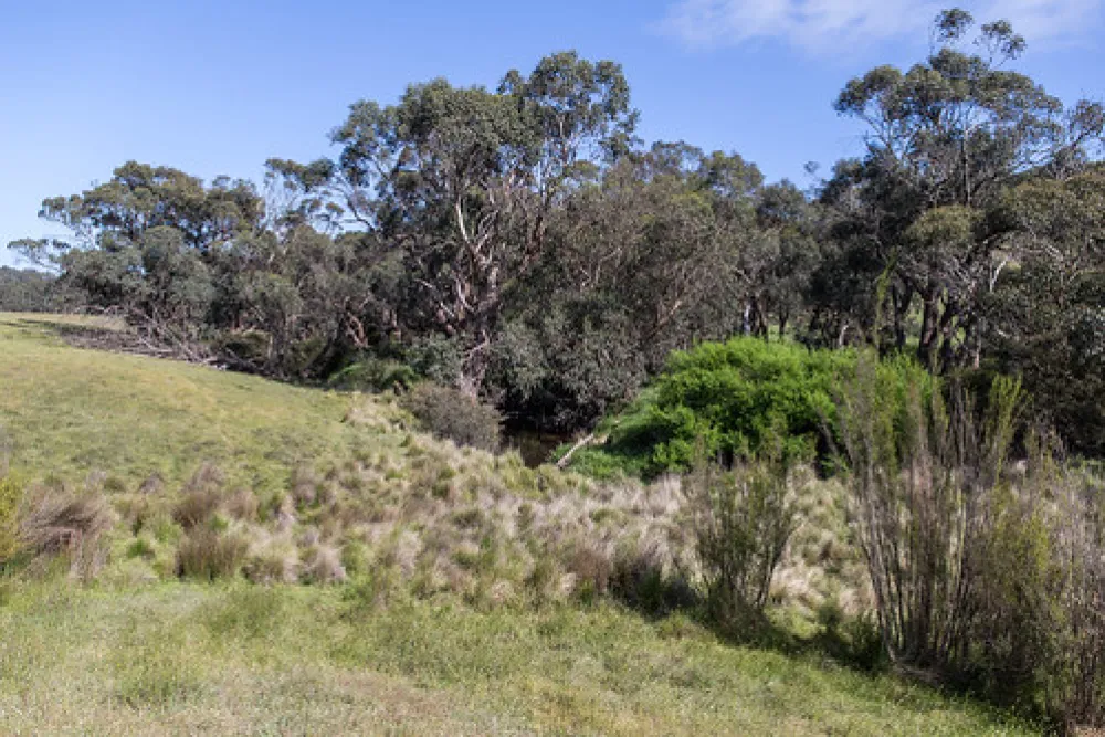 Seven Creeks Reserve Campground