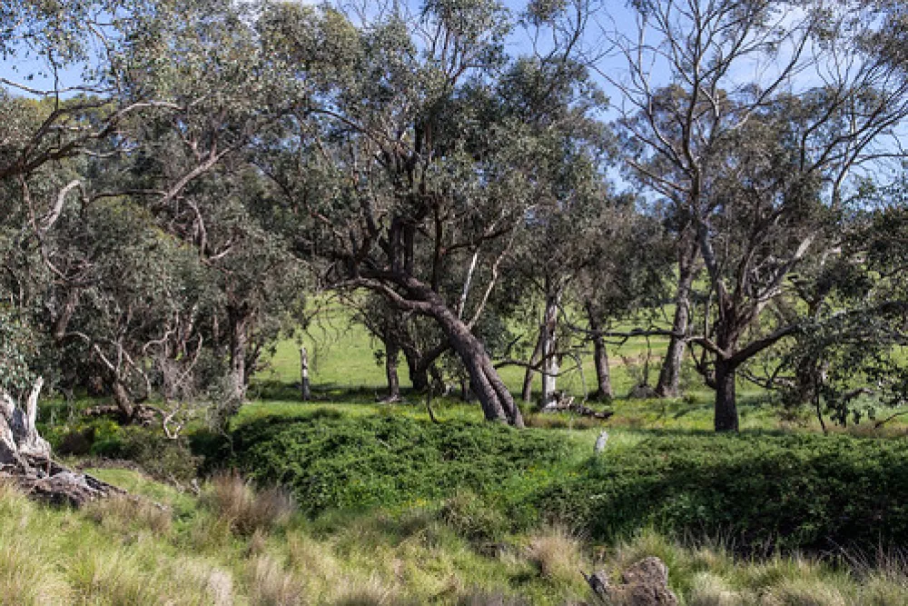 Seven Creeks Reserve Campground