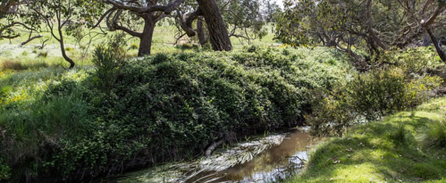 Seven Creeks Reserve Campground