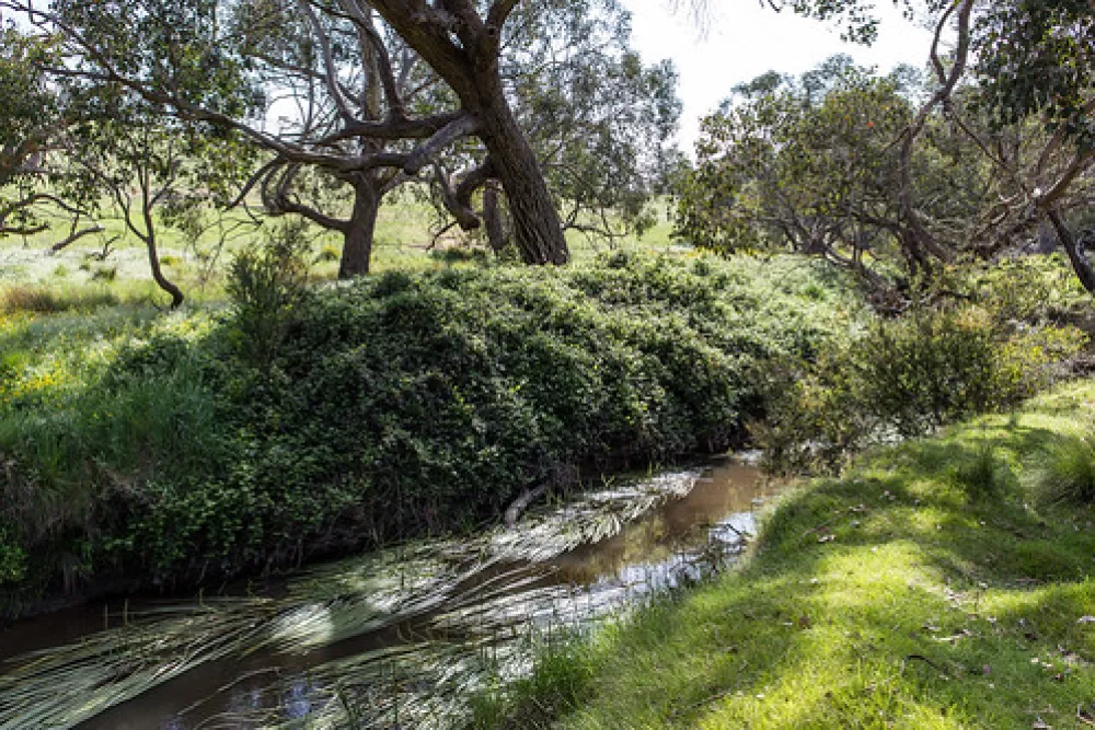 Seven Creeks Reserve Campground