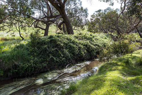 Seven Creeks Reserve Campground photo 2
