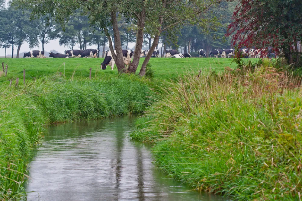 Camping de Groene Valk