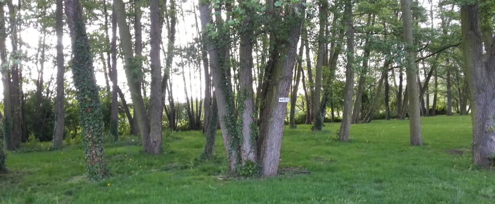 Camping des Étangs de Marsalin