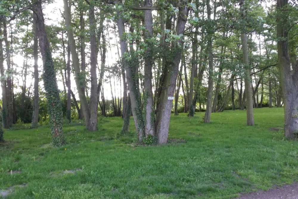 Camping des Étangs de Marsalin