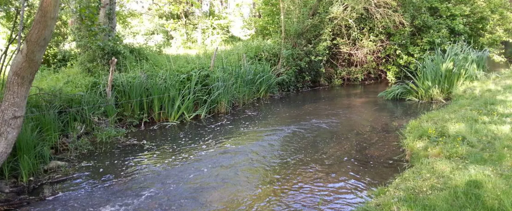Camping des Étangs de Marsalin