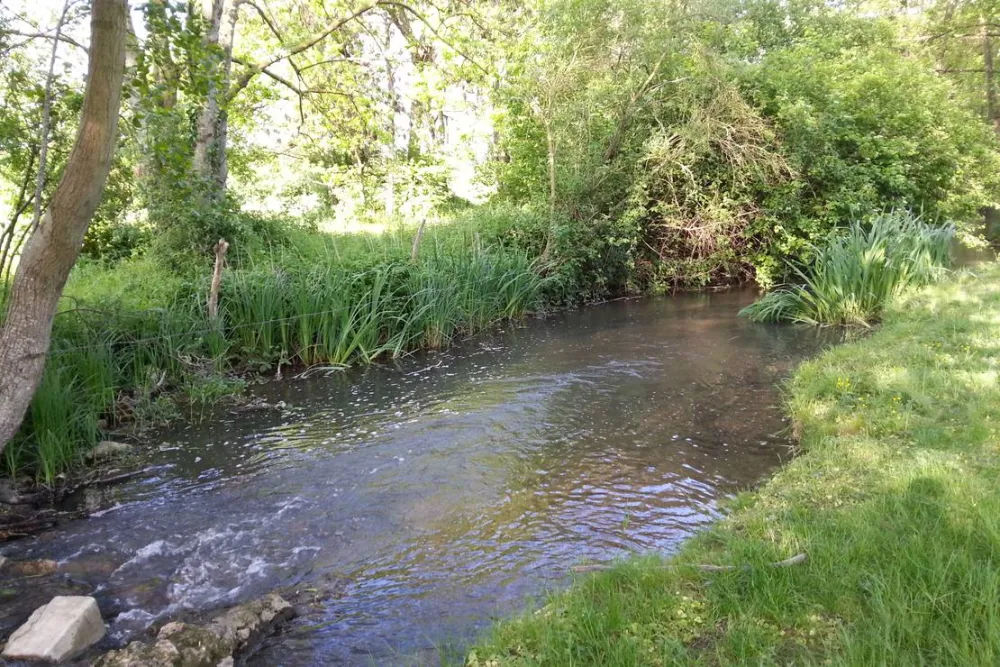 Camping des Étangs de Marsalin