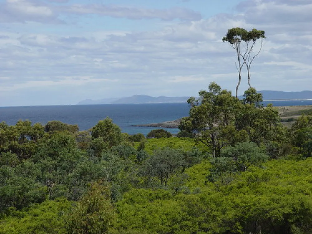 Little Beach Campground
