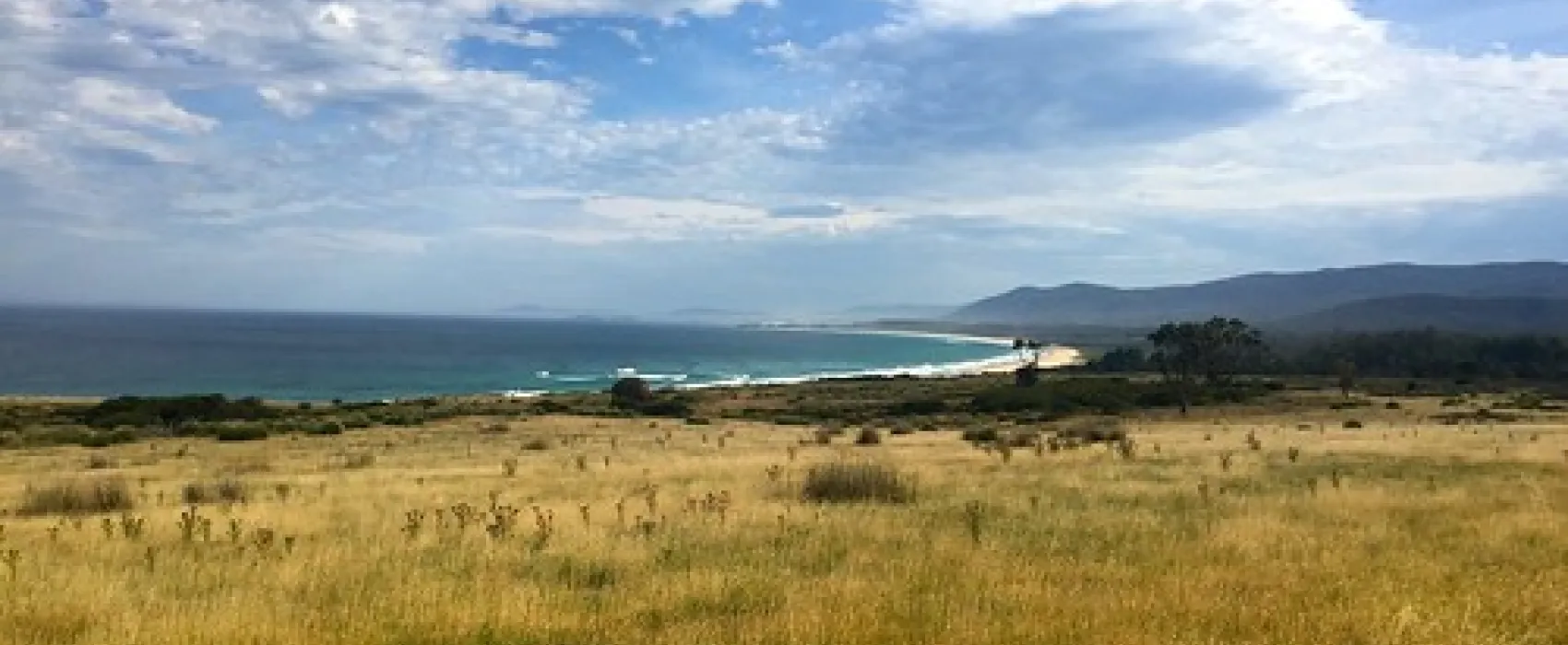 Little Beach Campground