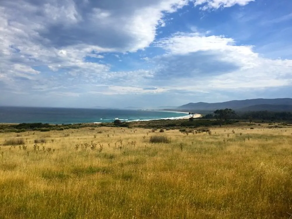 Little Beach Campground