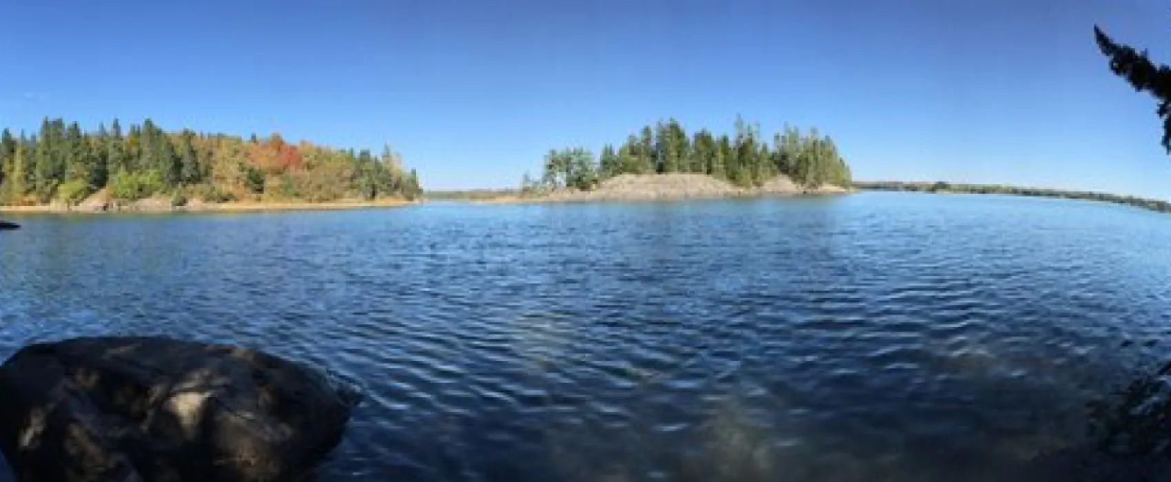 Cobscook Bay State Park