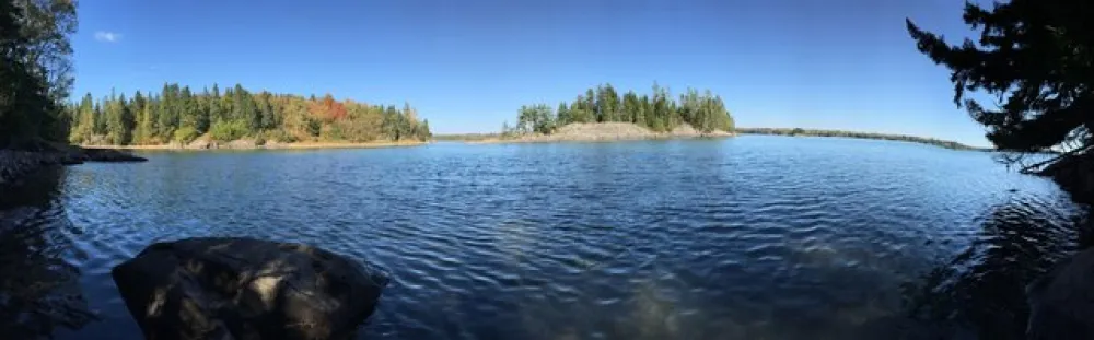 Cobscook Bay State Park
