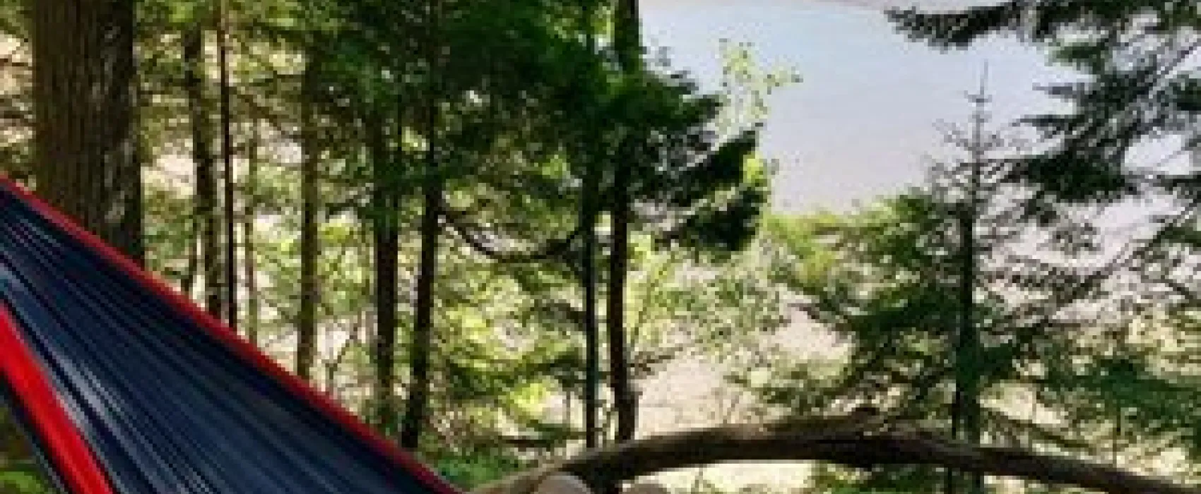 Cobscook Bay State Park