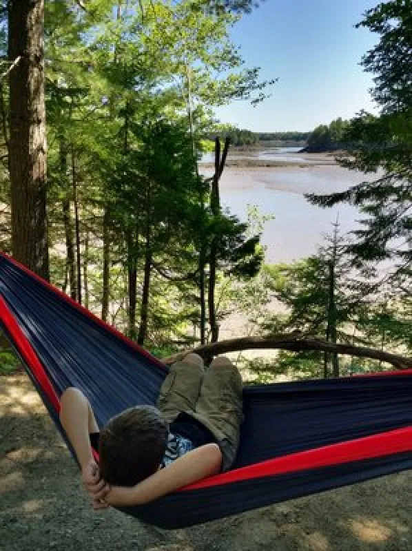 Cobscook Bay State Park