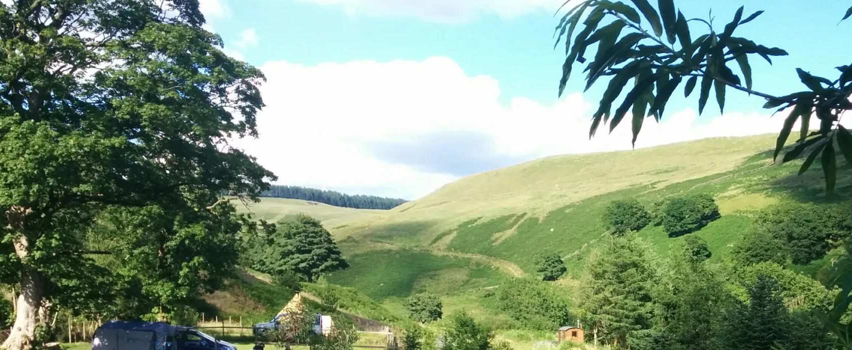 Willow Springs Campsite