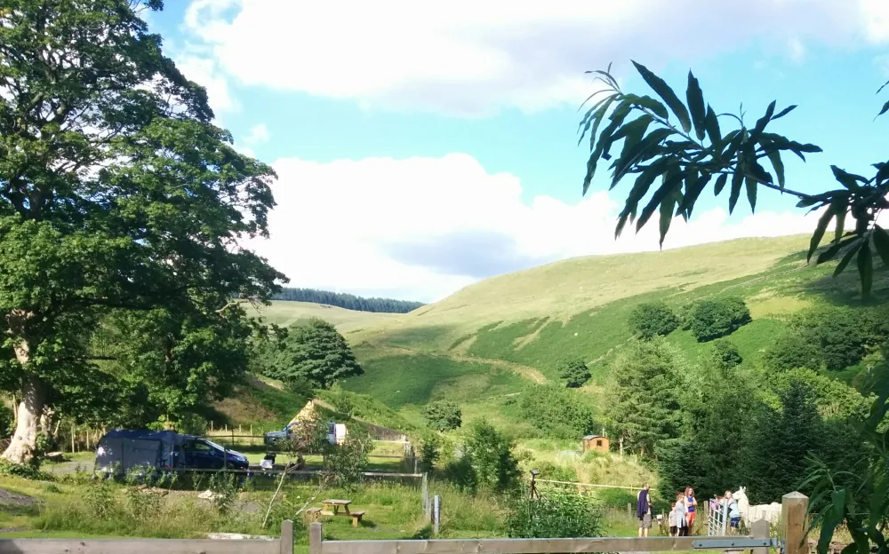 Willow Springs Campsite