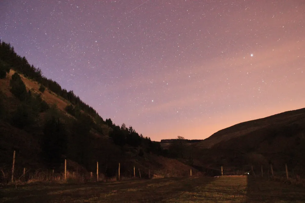 Willow Springs Campsite