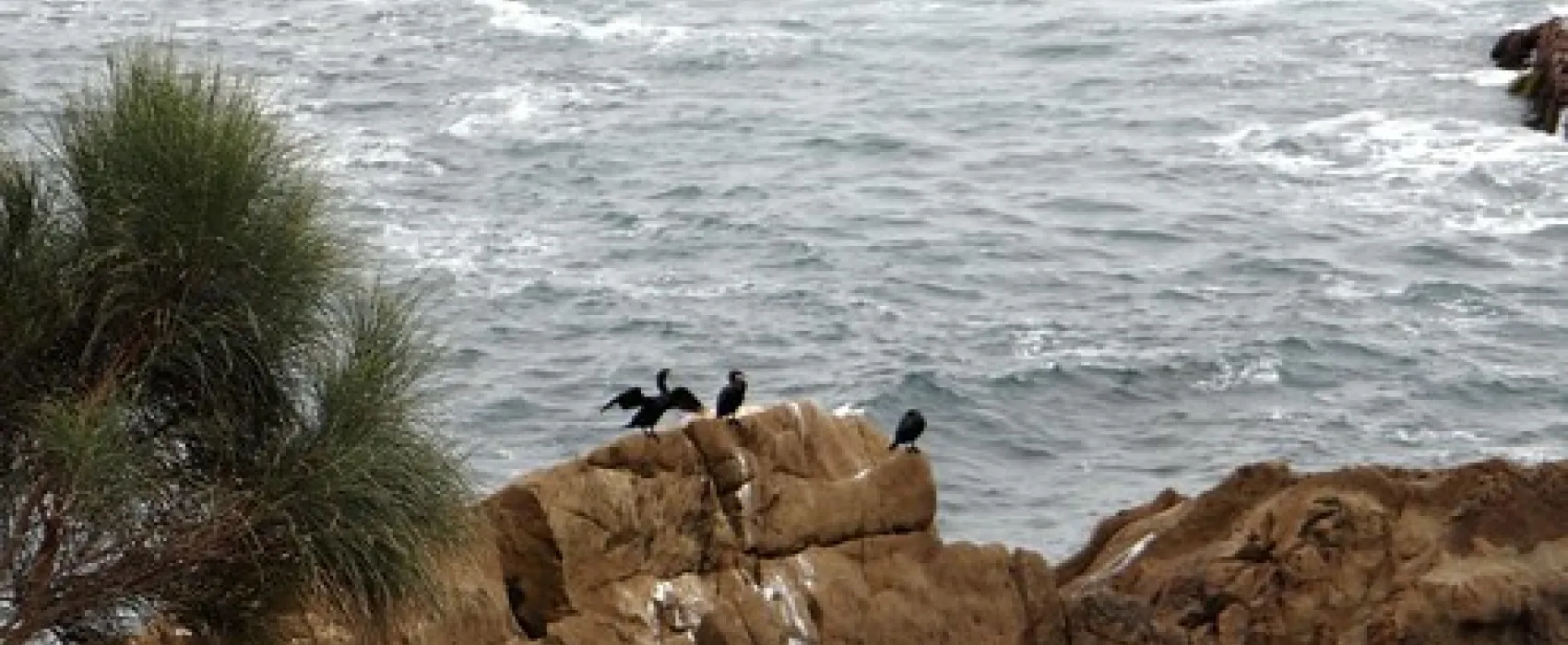 North Head (Airport) Campground