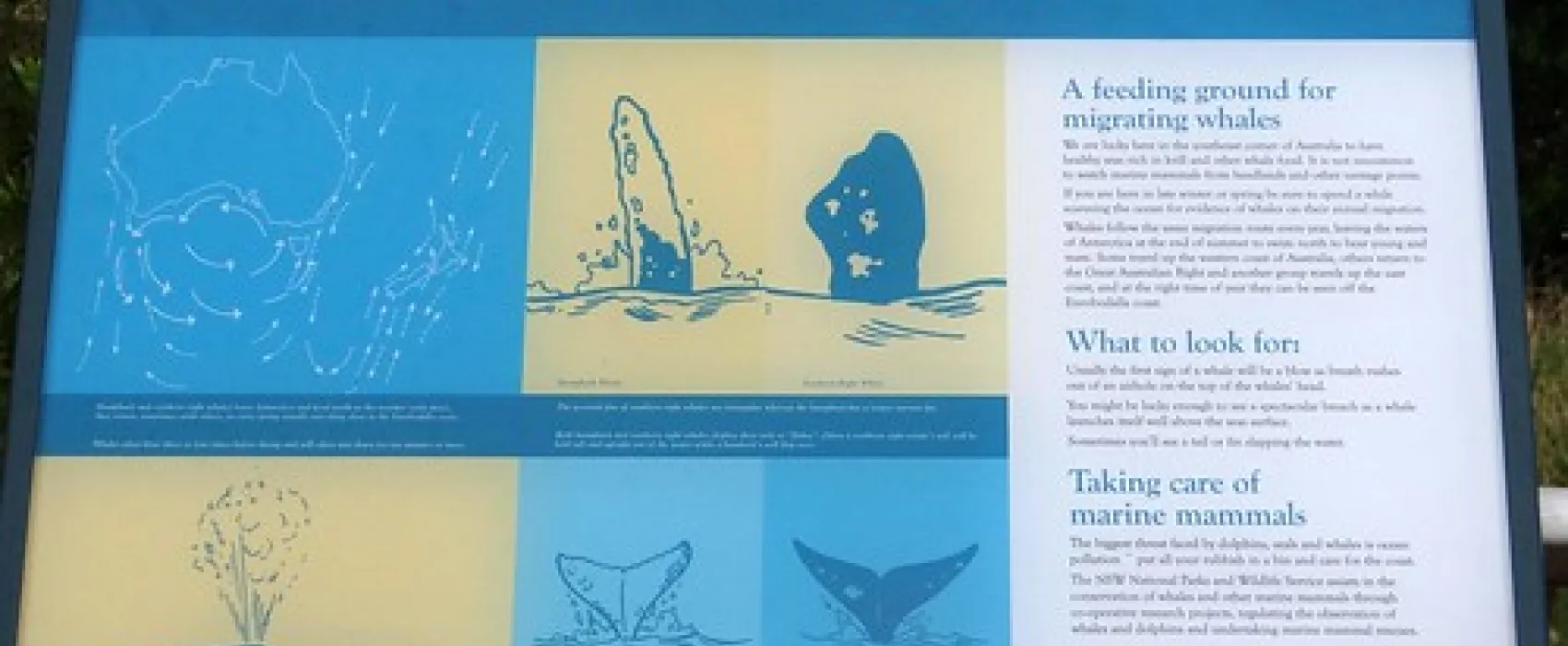 North Head (Airport) Campground