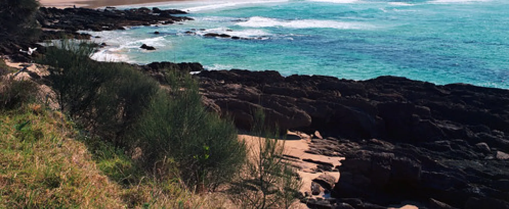North Head (Airport) Campground